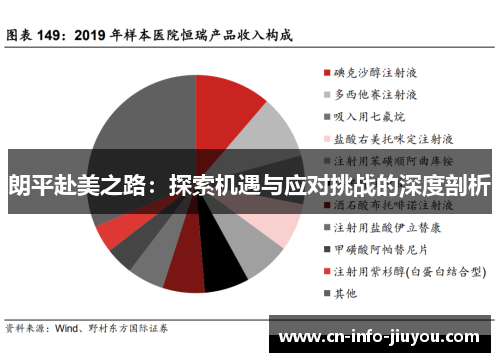 朗平赴美之路：探索机遇与应对挑战的深度剖析