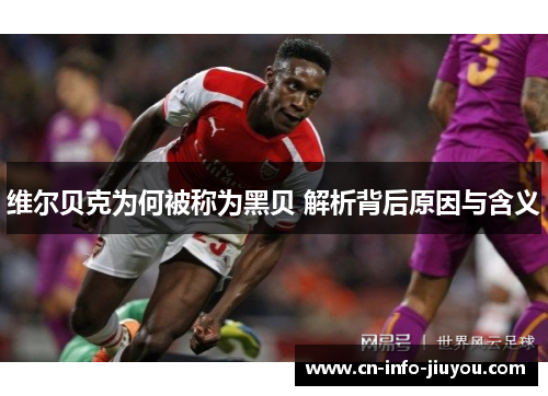 维尔贝克为何被称为黑贝 解析背后原因与含义